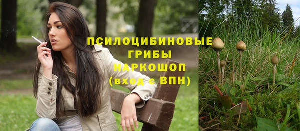 бошки Аркадак