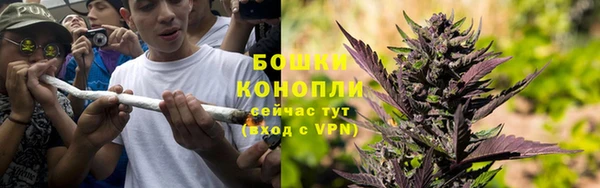 бошки Аркадак
