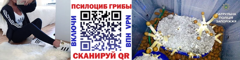 Галлюциногенные грибы ЛСД маркетплейс состав Пустошка как найти гидра ТОР